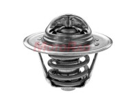 Termostato, refrigerante