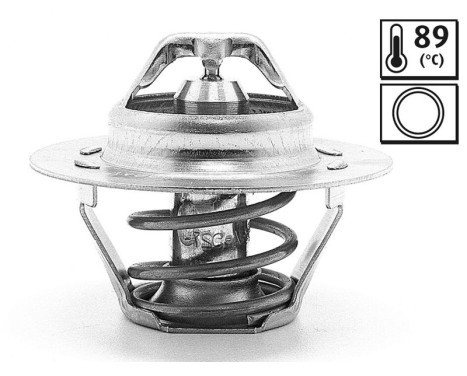 Termostato REN/VOL 819862 Valeo