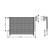 Condensador, aire acondicionado BW5397 Ava Quality Cooling