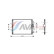 Condensador, aire acondicionado RTA5315 Ava Quality Cooling, Miniatura 2
