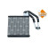 BYD Dolphin 23 - Evaporadores 36242 NRF