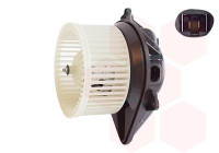 Ventilación interior