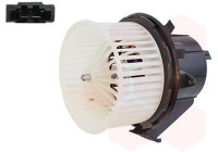 Ventilación interior