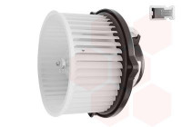 Ventilación interior