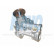 Bomba de agua MW-1418 Kavo parts, Miniatura 2