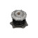Bomba de agua NW-1228 Kavo parts, Miniatura 3