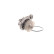 Bomba de agua VKPC 81605 SKF, Miniatura 3