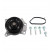 Bomba de agua VKPC 91810 SKF
