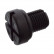 Tornillo de purga 23750 FEBI