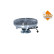 Embrague, ventilador del radiador 49001 NRF, Miniatura 5