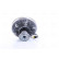 Embrague, ventilador del radiador 86228 Nissens, Miniatura 3