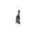 Enfriador de aceite, aceite de motor, Miniatura 11