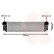 INTERCOOLER 525D/530D/730D desde '08 06004376 International Radiators, Miniatura 2