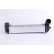 Intercooler 96308 Nissens, Miniatura 6