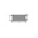 INTERCOOLER C4/C4 PICASSO 1.6HDi desde '04 40004299 International Radiators, Miniatura 2