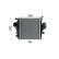Intercooler, enfriador de aire de carga, Miniatura 11