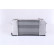 Intercooler, intercooler 96489 Nissens, Miniatura 4