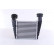 Intercooler, intercooler 96680 Nissens