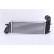 Intercooler, intercooler 96766 Nissens, Miniatura 5