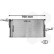 Radiador 06002446 International Radiators Plus