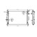 RADIADOR 18002425 International Radiators Plus