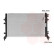 Radiador 58002326 International Radiators Plus, Miniatura 3