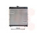RADIADOR -COCHE -250 A 30002042 International Radiators, Miniatura 2