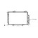 Radiador de gasolina 1.8 AT con aire acondicionado 30002174 International Radiators