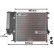 Radiador de gasolina 316/318 AT sin aire acondicionado 06002125 International Radiators Plus