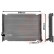 RADIADOR DE GASOLINA 58002034 International Radiators, Miniatura 2