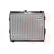 RADIADOR DE GASOLINA 58002090 International Radiators, Miniatura 2