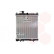 RADIADOR GASOLINA 1.0/1.3 A 13002131 International Radiators, Miniatura 2