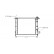 RADIADOR GASOLINA 1.1 350x378 43002120 International Radiators Plus