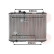 RADIADOR GASOLINA 1.3 / 1.5 / 1.6 52002083 International Radiators, Miniatura 2
