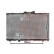 RADIADOR GASOLINA 1.3 16V 53002147 International Radiators, Miniatura 2