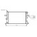 RADIADOR GASOLINA 1.4, 1.6 y 1.8 37002296 International Radiators, Miniatura 2