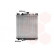 RADIADOR GASOLINA hasta '94 1.0 AT 52002023 International Radiators, Miniatura 2