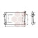 RADIADOR HY TUCSON 2.0 CRDi AT desde '06 82002247 International Radiators, Miniatura 2