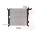 RADIADOR I30 20CRDiF MT 07- 82002207 International Radiators, Miniatura 2