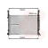 RADIADOR KANGOO 1.5DCi II MT 07- 43002472 International Radiators, Miniatura 2