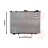 RADIADOR KING CAB/TERRANO1 MT 87- 13002041 International Radiators, Miniatura 2