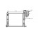 RADIADOR MB VITO MT/AT sin AIRE ACONDICIONADO 95- 30002216 International Radiators Plus