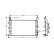 RADIADOR MERIVA 1.6i MT/AT 05-10 37002582 International Radiators Plus