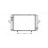 RADIADOR RENAULT MASTER TAMAÑO 89-98 43002107 International Radiators