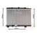 RADIADOR SERIE 25/200 2.0TD MT 95- 02002120 International Radiators Plus, Miniatura 3