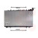 RADIADOR TOR NISSAN SUNNY N14 6/90 13002114 International Radiators, Miniatura 2