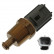 Sensor de temperatura 24467 FEBI