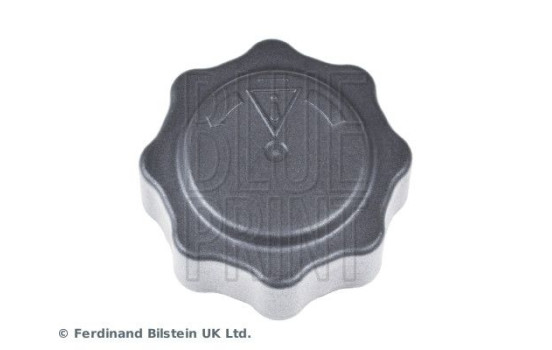 Tapa del radiador ADB119902 Blue Print, Imagen 3