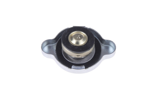 Tapa del radiador ADC49902 Blue Print, Imagen 2