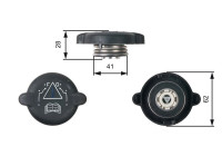 Tapa del radiador RC219 Gates